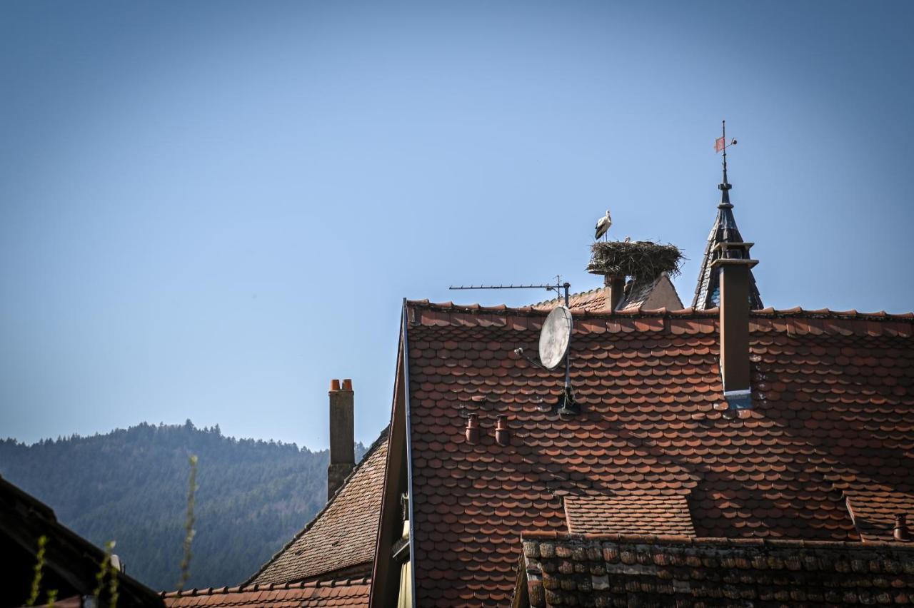 Le Hameau D'Eguisheim - Chambres D'Hotes & Gites Exteriör bild